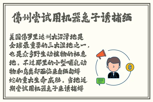 张津瑜三部曲